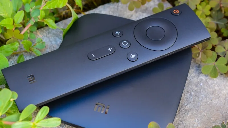Android TV box and remote control among houseplants